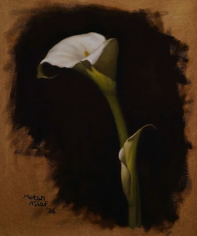 Calla Lilies oil painting still life Alla prima